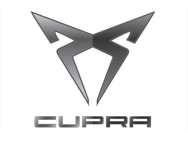 Wycieraczki Cupra Born